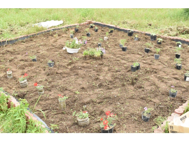 こんな感じかな(;･ω･) ?配置完了～～(^^♪