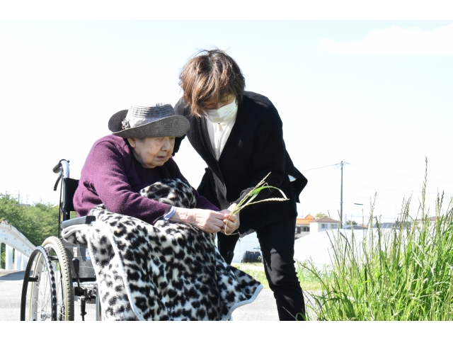 これは何だ(・・?