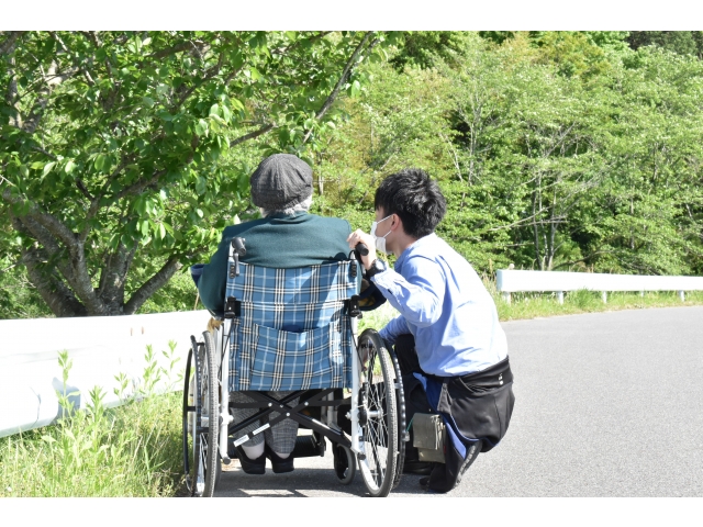 緑が綺麗だね🌳