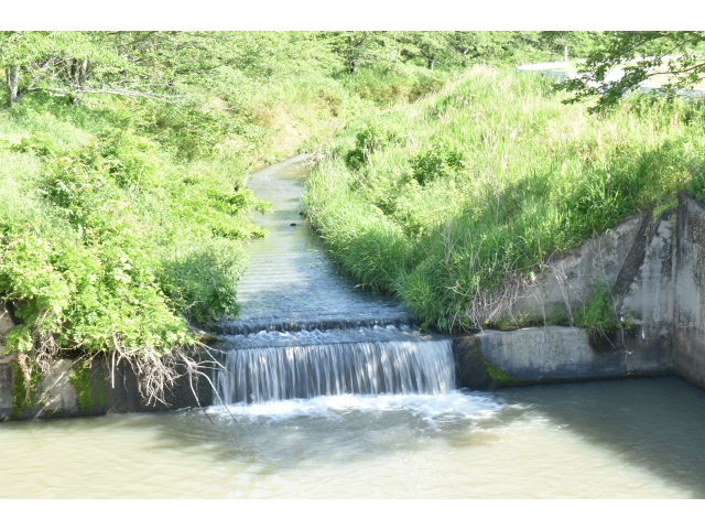 滝の中で緑が綺麗でした(*´ω｀*)