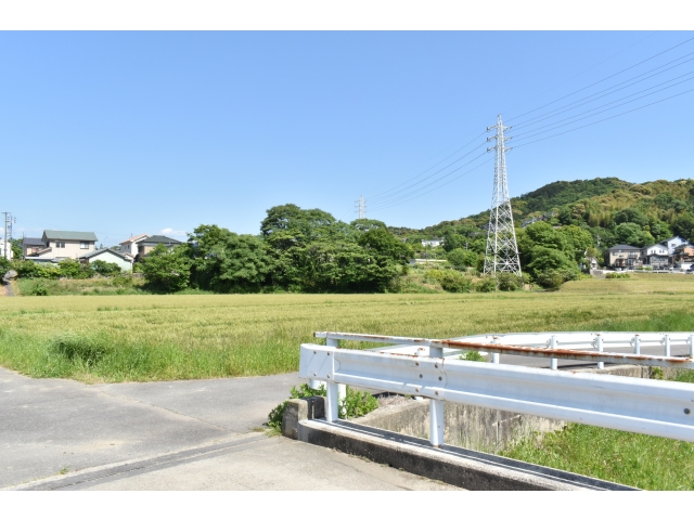 青空に緑が綺麗に映えてるね🌳