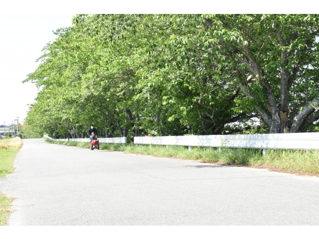 あっ！誰だろう(・・?