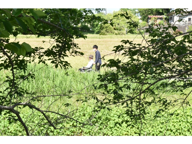 新緑の中から入居者さん(´▽｀*)