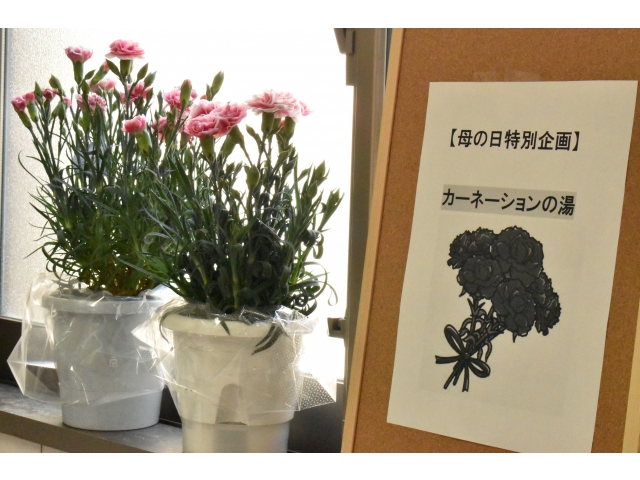 窓のところにもカーネーションを飾りました😁