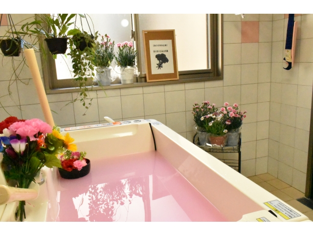 可愛くセッティングすることができました(^^♪