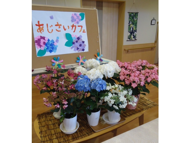 あじさいと一緒に飾ったよ🌝