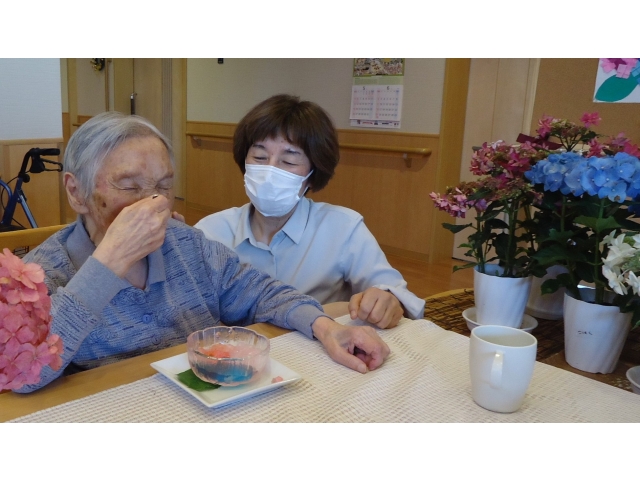 ゼリー美味しいよ🍮