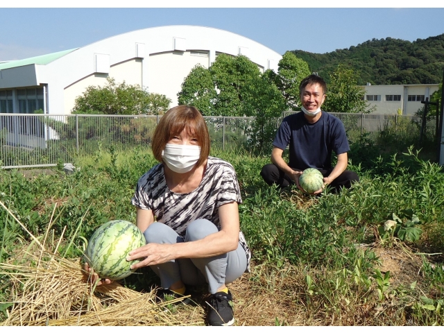 介護員の皆さんで収穫🤲