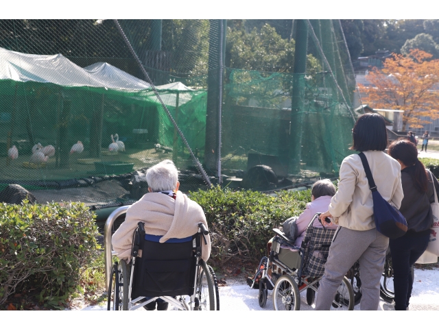 フラミンゴだ🦩