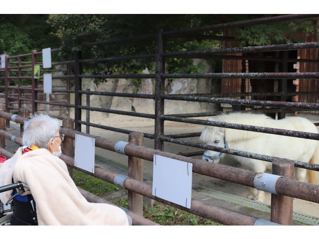 こちらの入居者さん馬とお話ししてました🐎