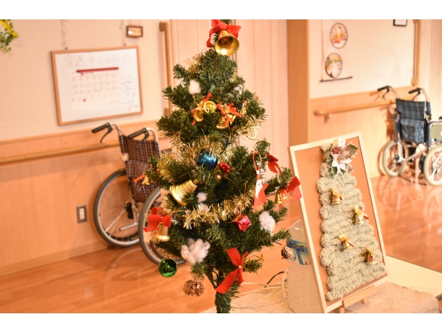 ツリーも飾ったよ🎄