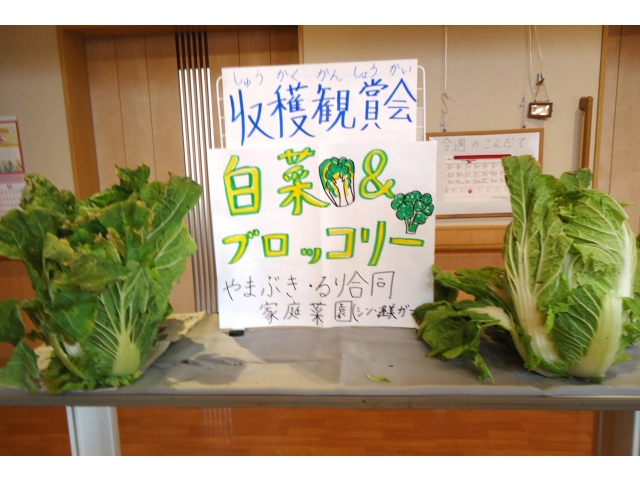 収穫鑑賞会始まり～😆