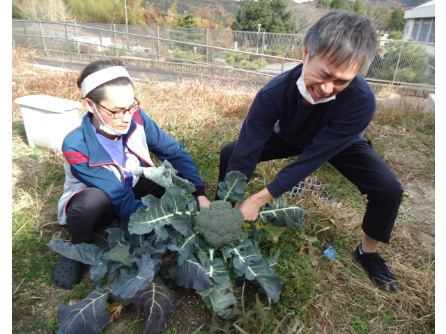 でっかいブロッコリー😂