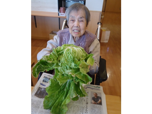 大きい白菜だねぇ😄