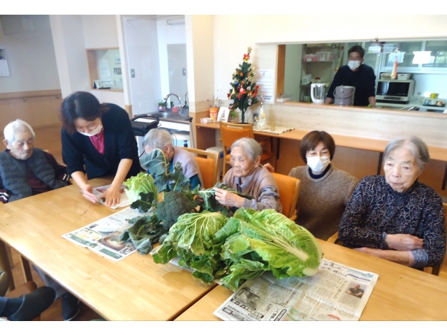 最もプリミティブで最もフィジカルな白菜🥬とブロッコリー🥦