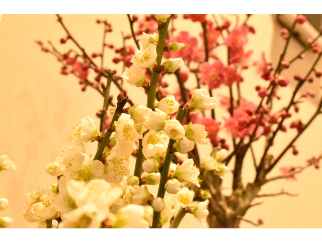 アップでどうぞ😙