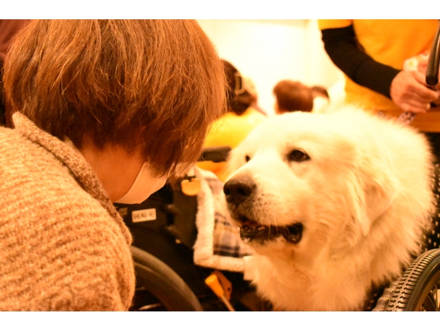 苑長と見つめ合っていました👀