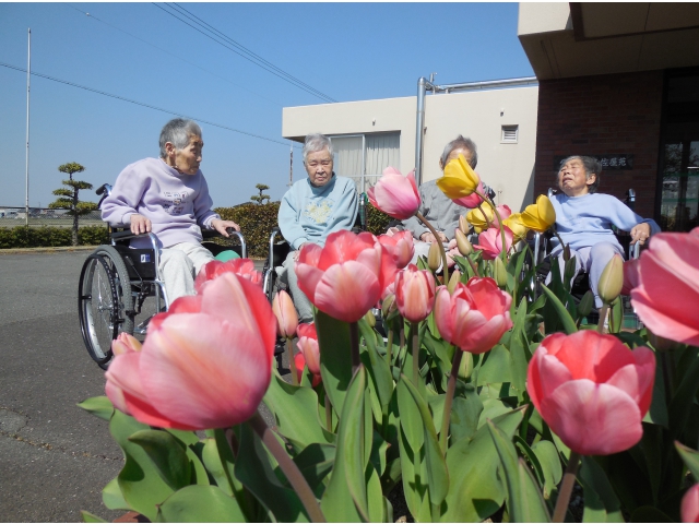 綺麗な花の見学です。