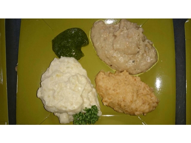 食事一例（ミキサー食）