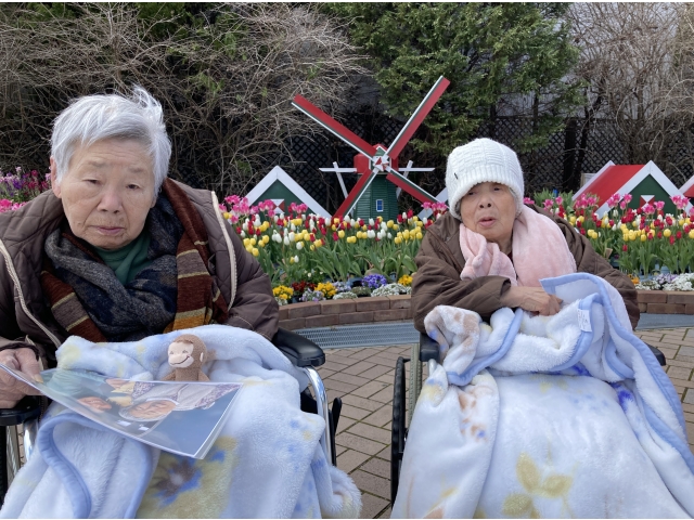 ちゅーりっぷと