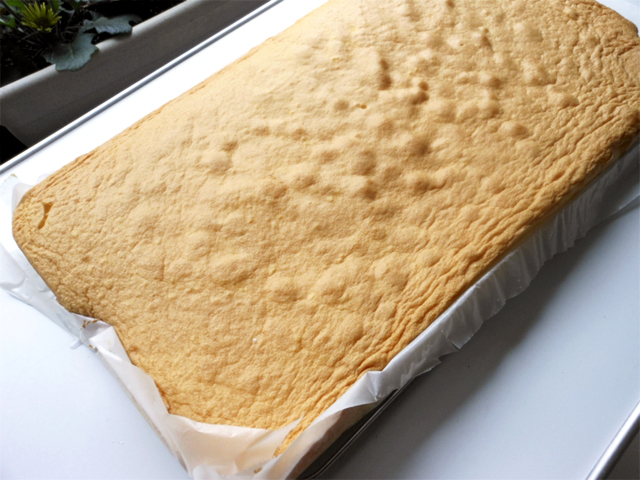 焼きたての巨大スポンジ