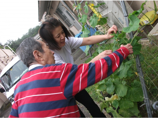 どれにしようかな。