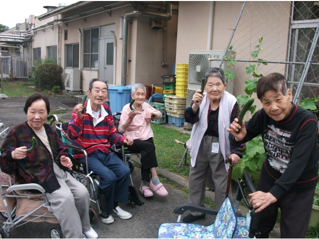 たくさん収穫できました。