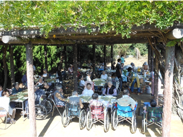 藤棚の下はちょうどよい気温