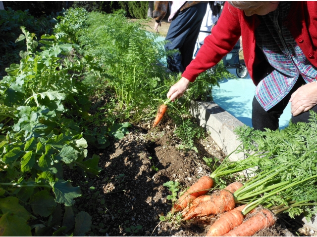 「嬉しいわぁ～！」と喜んでいただけました