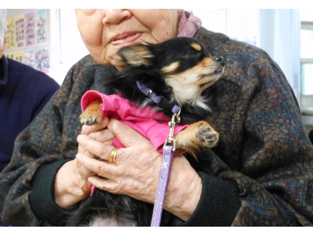 気持ちよさそうですね