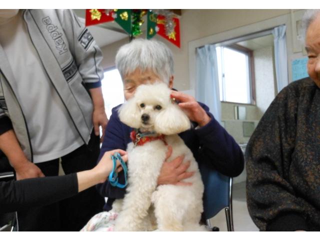 みんなとってもお利口さん