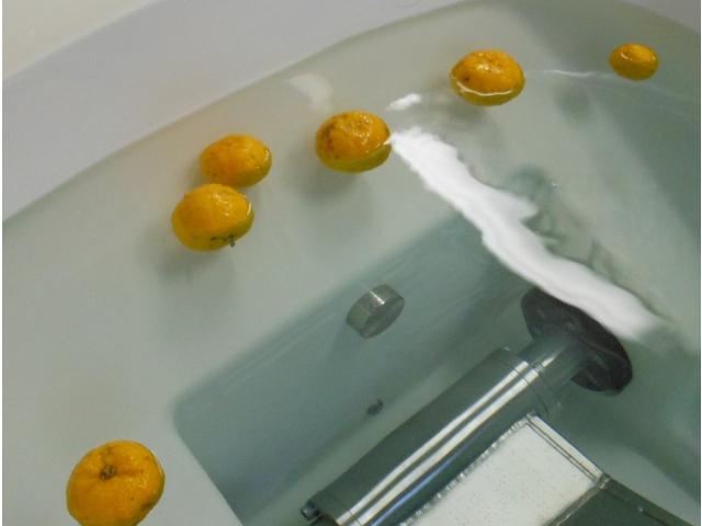 柚子を浮かべると良い香りが…