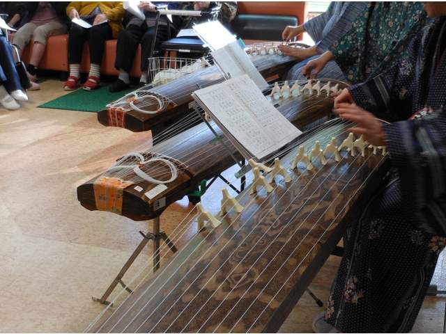 琴の風流な音色