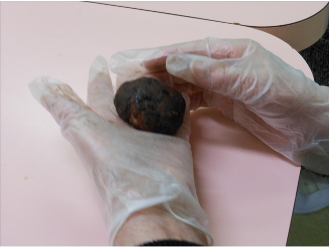 皆さんおてのもの！