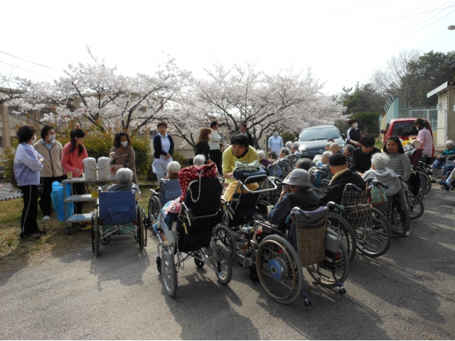 桜を見ながらティータイム