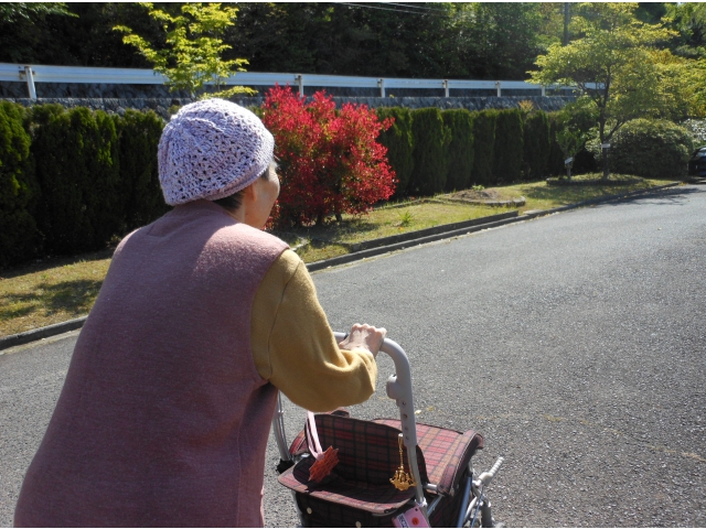 今日は日本晴れで絶好の散歩日和