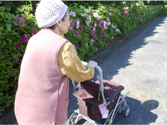 「綺麗に咲いてるね」