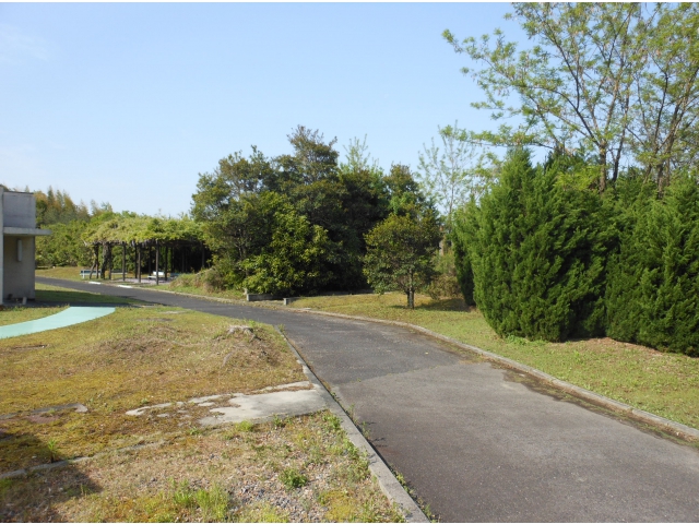 垣根の向こう側の小学校から元気な声が届きます