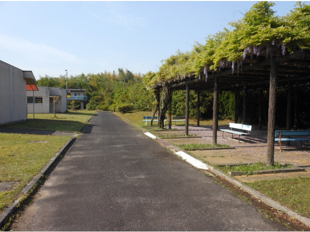 裏の藤棚では野外食も楽しみます