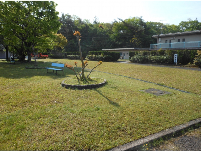 芝生広場では今月「苑遊会」を開催します