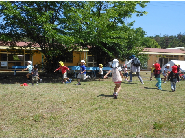 この木、おっきいねぇ