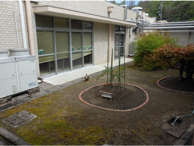 ん？目を凝らしてよく見ると…