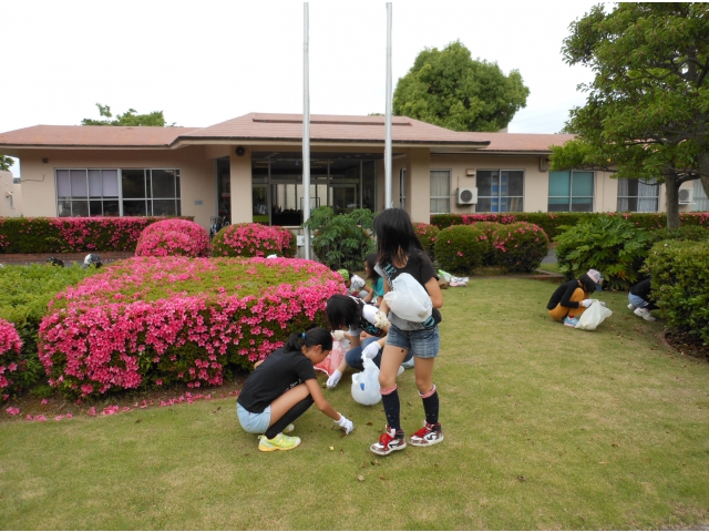 玄関前の草取り