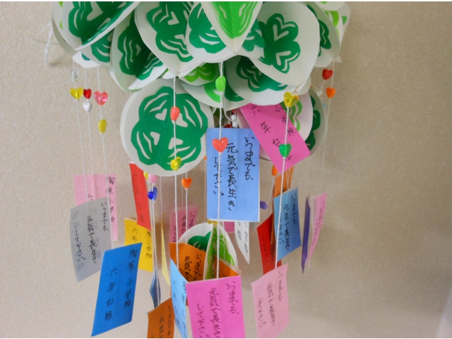 色とりどりで綺麗ですね