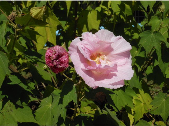 14:00　酔いが回ってきました
