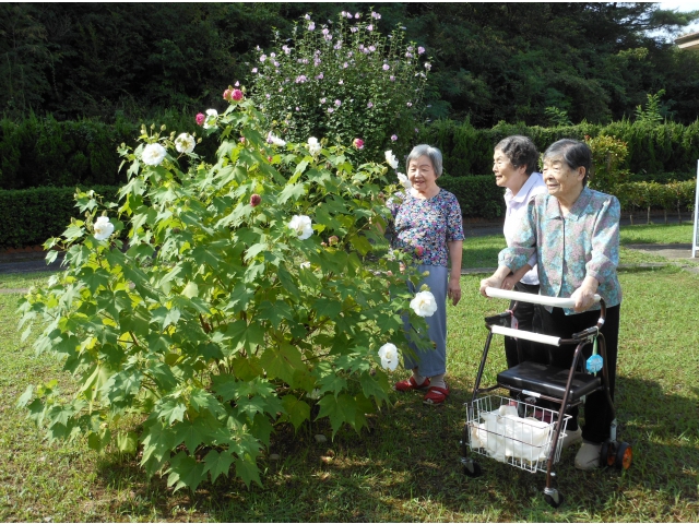 目を楽しませてくれます