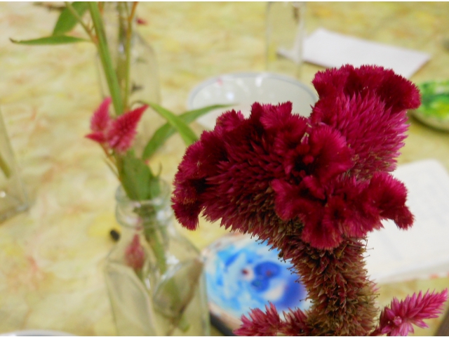 たしかにトサカに見えます