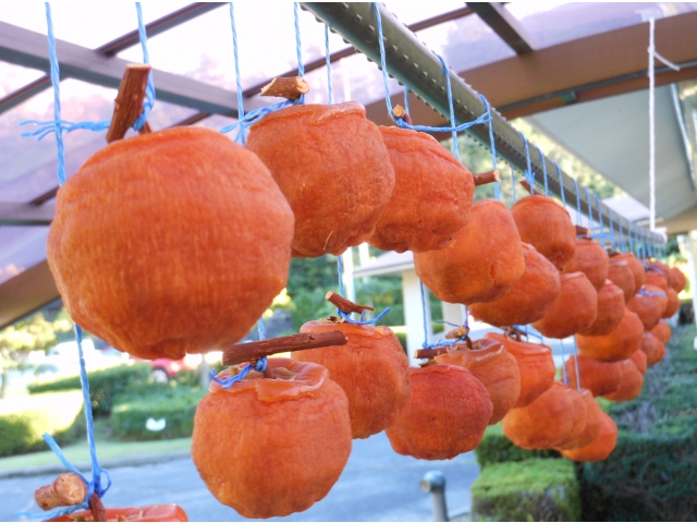 鮮やかな色です