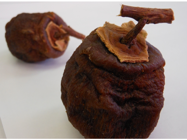 まるで芸術品（8分音符）