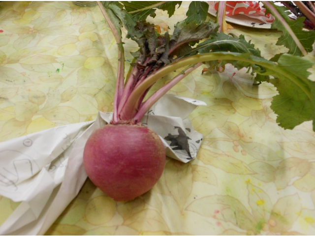 旬の恵みですね